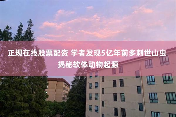 正规在线股票配资 学者发现5亿年前多刺世山虫 揭秘软体动物起源