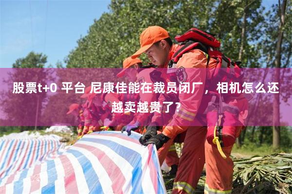 股票t+0 平台 尼康佳能在裁员闭厂，相机怎么还越卖越贵了？