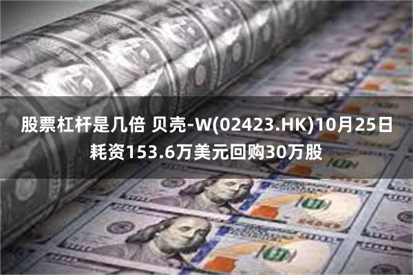 股票杠杆是几倍 贝壳-W(02423.HK)10月25日耗资153.6万美元回购30万股