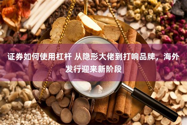 证券如何使用杠杆 从隐形大佬到打响品牌，海外发行迎来新阶段