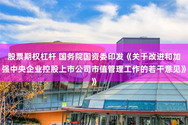 股票期权杠杆 国务院国资委印发《关于改进和加强中央企业控股上市公司市值管理工作的若干意见》