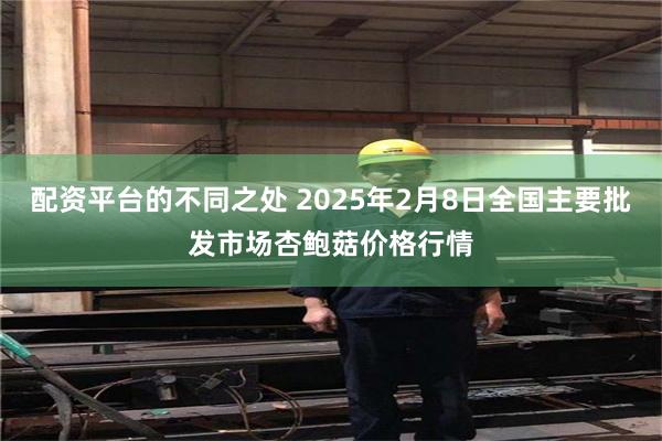 配资平台的不同之处 2025年2月8日全国主要批发市场杏鲍菇价格行情