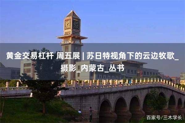 黄金交易杠杆 周五展 | 苏日特视角下的云边牧歌_摄影_内蒙古_丛书